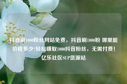 抖音刷1000粉丝网站免费，抖音刷1000粉 哪里能价格多少?轻松赚取1000抖音粉丝，无需付费！亿乐社区SUP货源站  第1张
