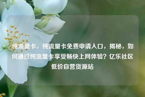 纯流量卡	，纯流量卡免费申请入口，揭秘，如何通过纯流量卡享受畅快上网体验？亿乐社区低价自营货源站  第1张