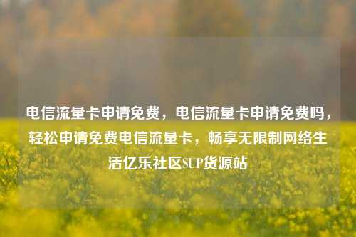 电信流量卡申请免费，电信流量卡申请免费吗	，轻松申请免费电信流量卡，畅享无限制网络生活亿乐社区SUP货源站  第1张