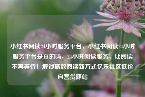 小红书阅读24小时服务平台，小红书阅读24小时服务平台是真的吗	，24小时阅读服务，让阅读不再等待！解锁高效阅读新方式亿乐社区低价自营货源站  第1张