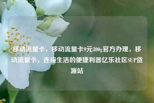 移动流量卡，移动流量卡9元300g官方办理	，移动流量卡，连接生活的便捷利器亿乐社区SUP货源站  第1张