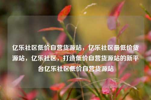亿乐社区低价自营货源站，亿乐社区最低价货源站，亿乐社区	，打造低价自营货源站的新平台亿乐社区低价自营货源站  第1张