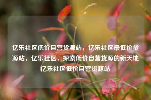 亿乐社区低价自营货源站，亿乐社区最低价货源站	，亿乐社区，探索低价自营货源的新天地亿乐社区低价自营货源站  第1张